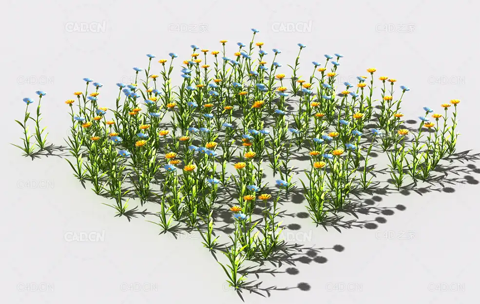 普通花草植物C4D模型 pattern_common-flower-5 - C4D之家 - 68.jpg