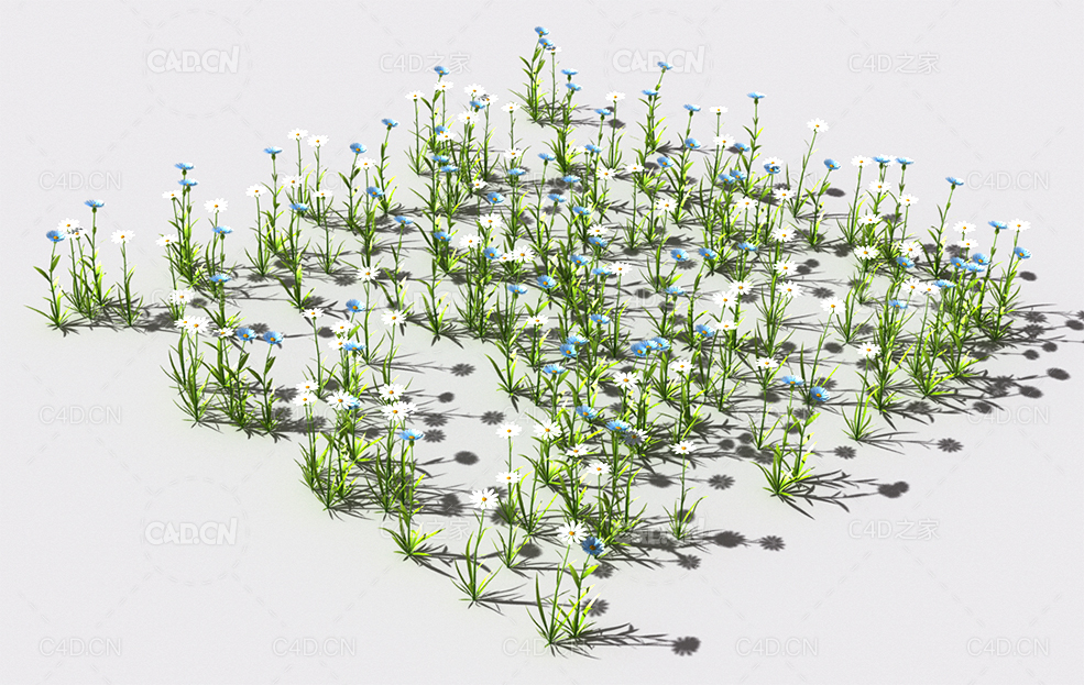 普通花草植物C4D模型 pattern_common-flower-3 - C4D之家 - 66.jpg