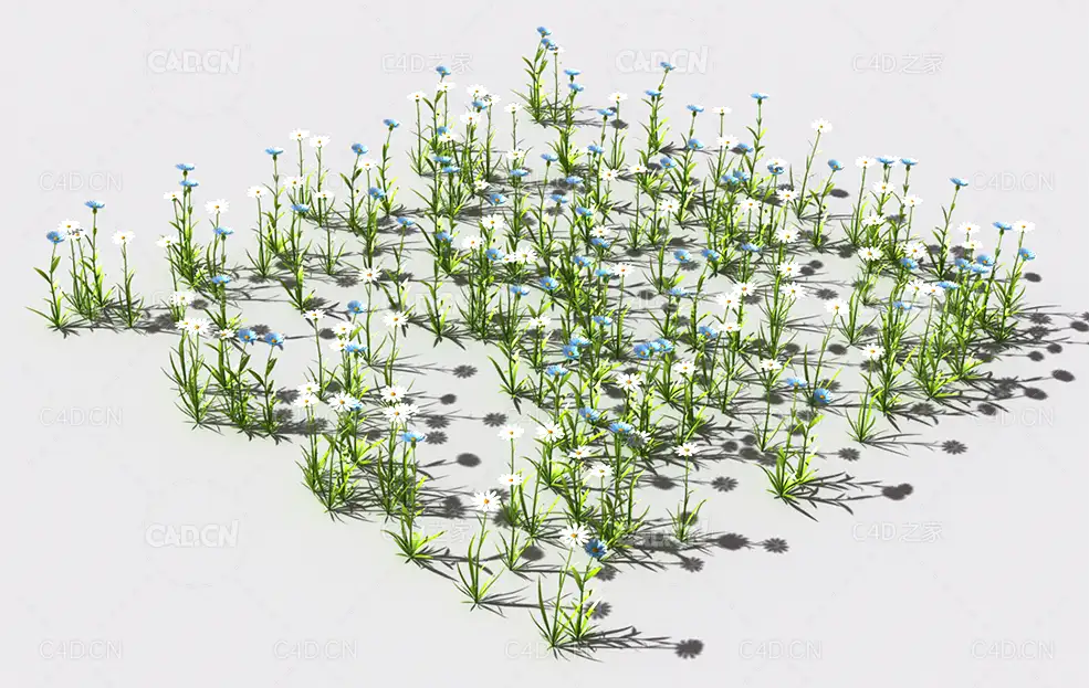普通花草植物C4D模型 pattern_common-flower-3 - C4D之家 - 66.jpg