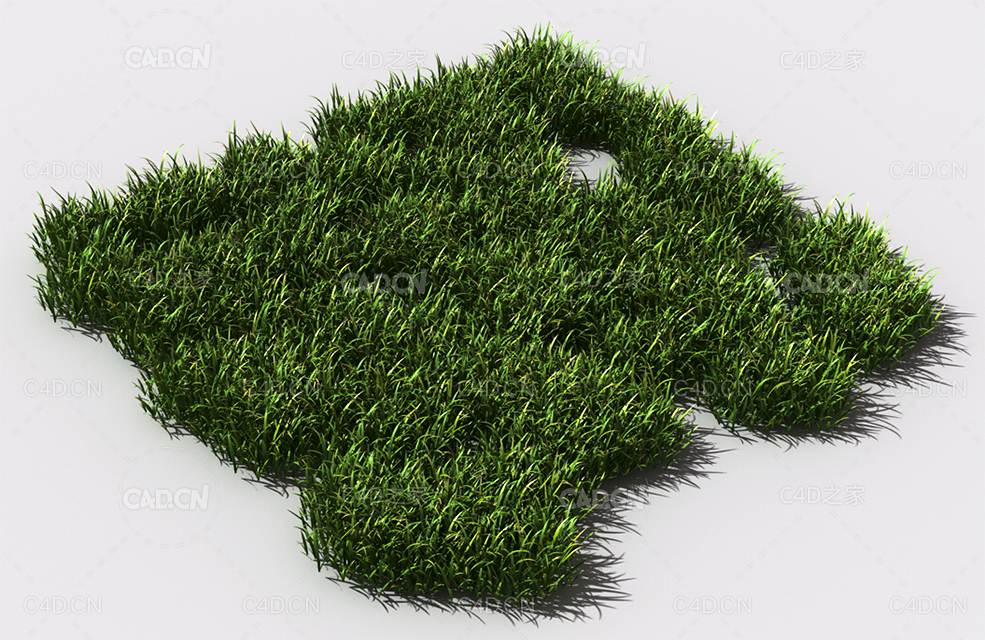 花纹草坪草地绿草植物C4D模型 pattern_lawn-grass-1 - C4D之家 - 74.jpg