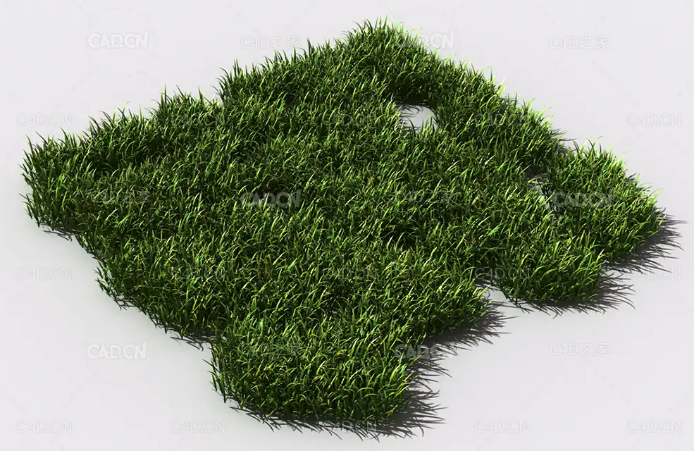 花纹草坪草地绿草植物C4D模型 pattern_lawn-grass-1 - C4D之家 - 74.jpg