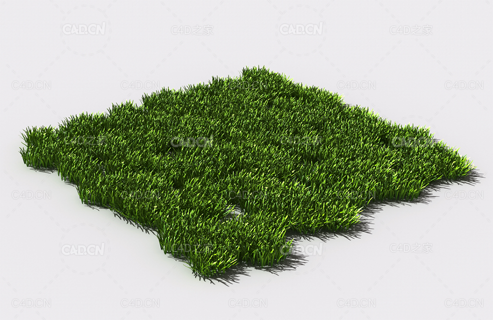 花纹草坪草地绿草植物C4D模型 pattern_lawn-grass-4 - C4D之家 - 77.jpg
