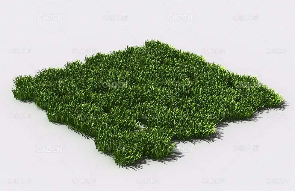 花纹草坪草地绿草植物C4D模型 pattern_lawn-grass-4 - C4D之家 - 77.jpg