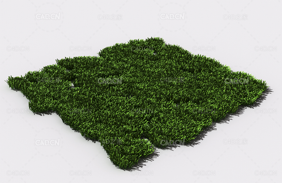 花纹草坪草地绿草植物C4D模型 pattern_lawn-grass-7 - C4D之家 - 80.jpg