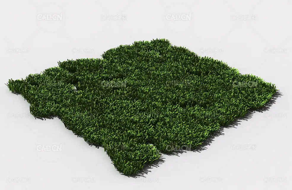 花纹草坪草地绿草植物C4D模型 pattern_lawn-grass-7 - C4D之家 - 80.jpg