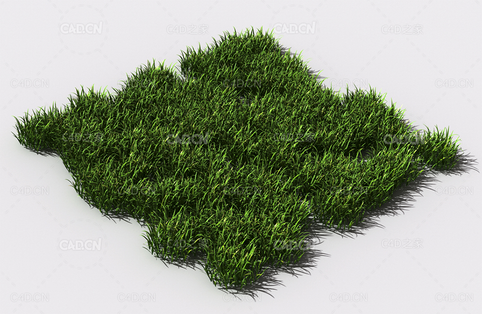 花纹草坪草地绿草植物C4D模型 pattern_lawn-grass-2 - C4D之家 - 75.jpg