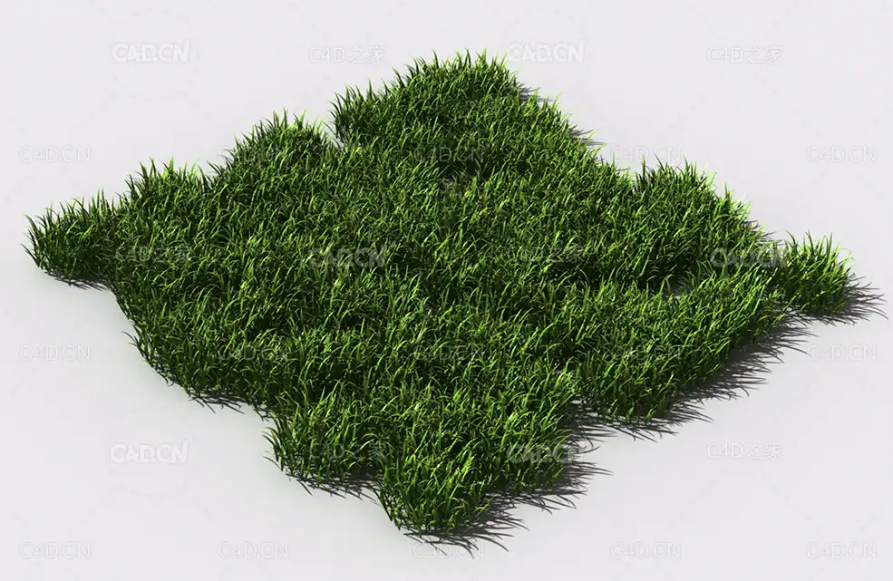 花纹草坪草地绿草植物C4D模型 pattern_lawn-grass-2 - C4D之家 - 75.jpg