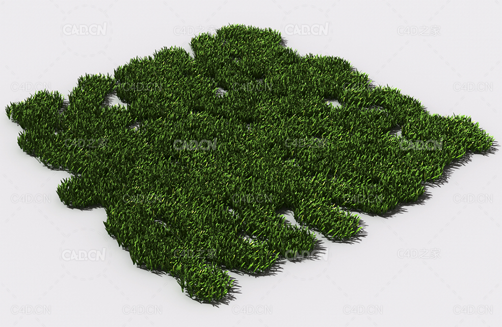 花纹草坪草地绿草植物C4D模型 pattern_lawn-grass-5 - C4D之家 - 78.jpg