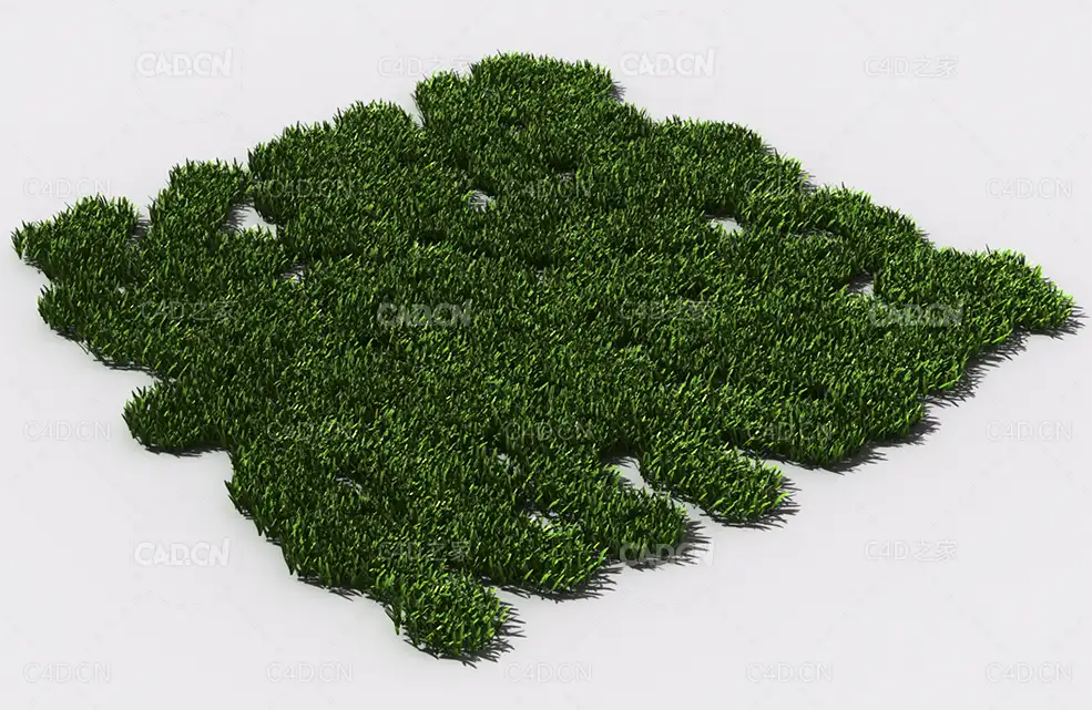 花纹草坪草地绿草植物C4D模型 pattern_lawn-grass-5 - C4D之家 - 78.jpg