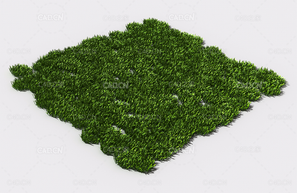 花纹草坪草地绿草植物C4D模型 pattern_lawn-grass-6 - C4D之家 - 79.jpg