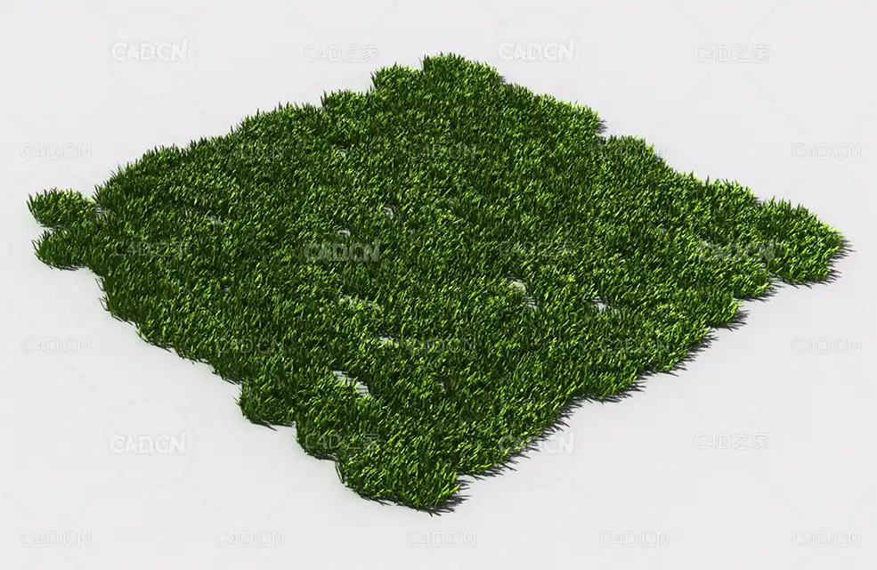 花纹草坪草地绿草植物C4D模型 pattern_lawn-grass-6 - C4D之家 - 79.jpg