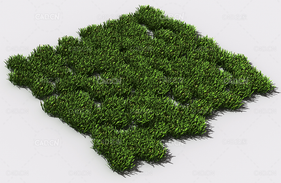 花纹草坪草地绿草植物C4D模型 pattern_lawn-grass-3 - C4D之家 - 76.jpg