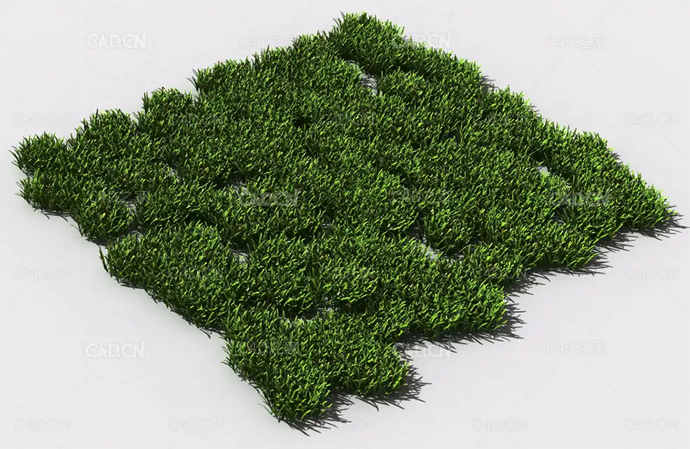 花纹草坪草地绿草植物C4D模型 pattern_lawn-grass-3 - C4D之家 - 76.jpg