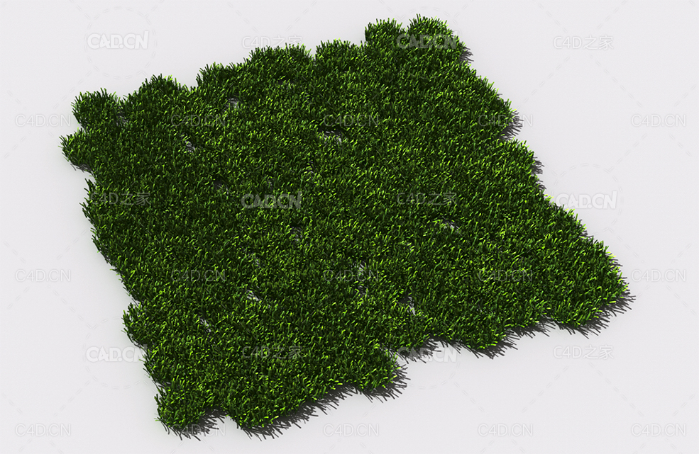 花纹草坪草地绿草植物C4D模型 pattern_lawn-grass-8 - C4D之家 - 81.jpg