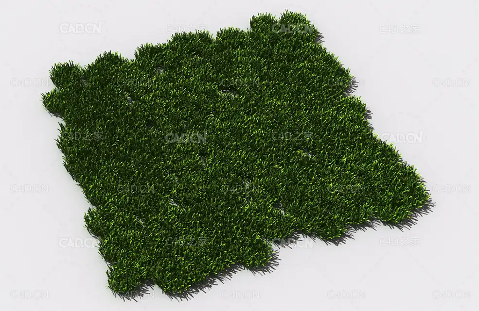 花纹草坪草地绿草植物C4D模型 pattern_lawn-grass-8 - C4D之家 - 81.jpg