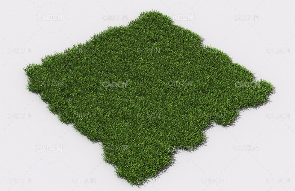 小草绿草植物C4D模型 pattern_small-grass-1 - C4D之家 - 84.jpg