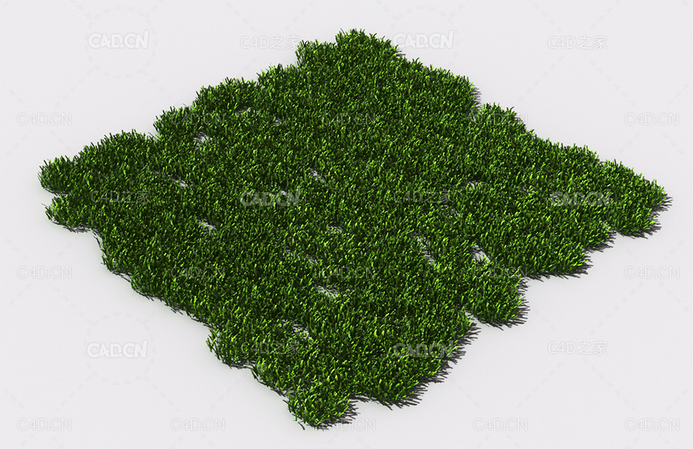 花纹草坪草地绿草植物C4D模型 pattern_lawn-grass-10 - C4D之家 - 83.jpg