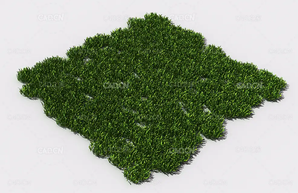 花纹草坪草地绿草植物C4D模型 pattern_lawn-grass-10 - C4D之家 - 83.jpg