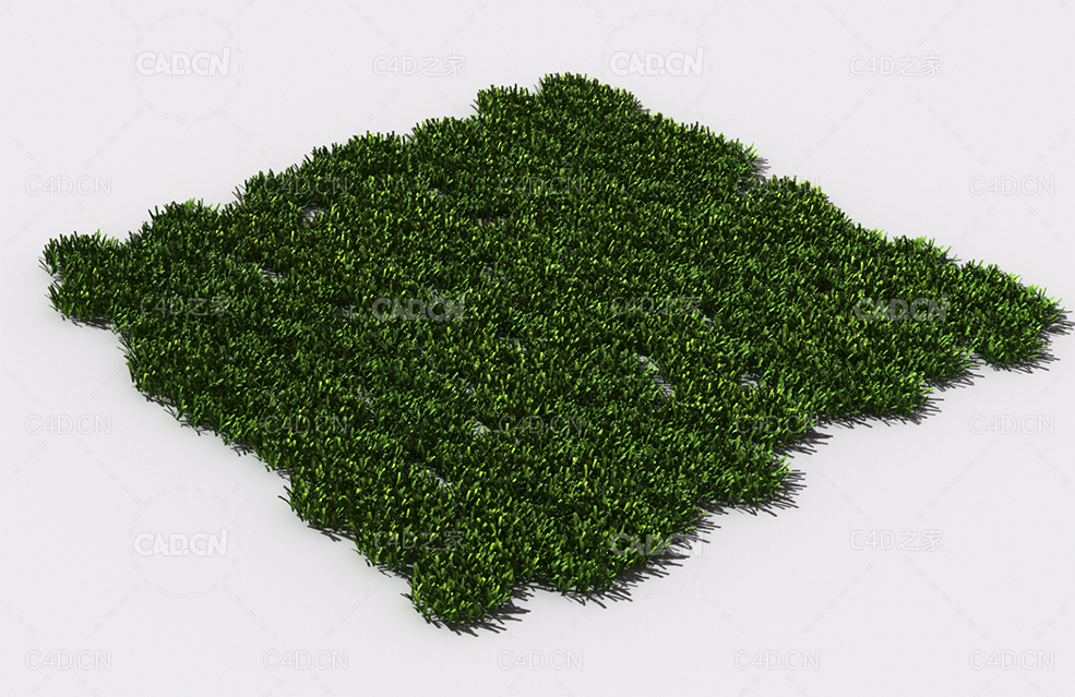 花纹草坪草地绿草植物C4D模型 pattern_lawn-grass-9 - C4D之家 - 82.jpg