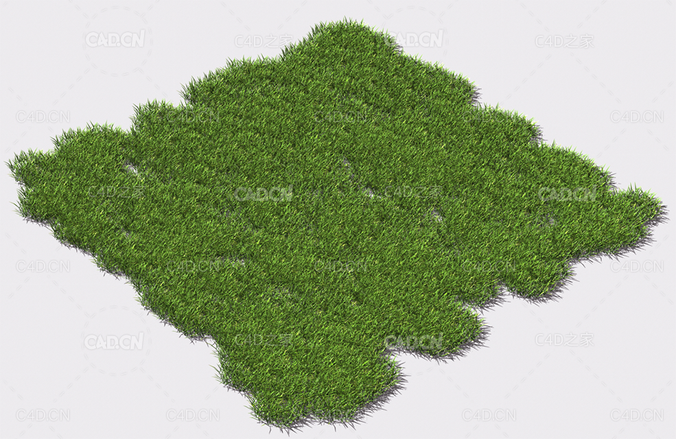 小草绿草植物C4D模型 pattern_small-grass-2 - C4D之家 - 85.jpg