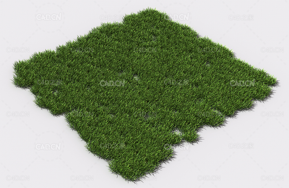 小草绿草植物C4D模型 pattern_small-grass-3 - C4D之家 - 86.jpg
