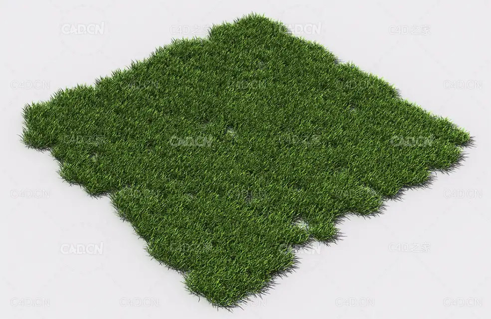 小草绿草植物C4D模型 pattern_small-grass-3 - C4D之家 - 86.jpg
