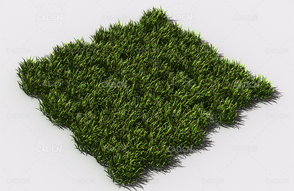 野草植物C4D模型 pattern_wild-grass-2 - C4D之家 - 88.jpg