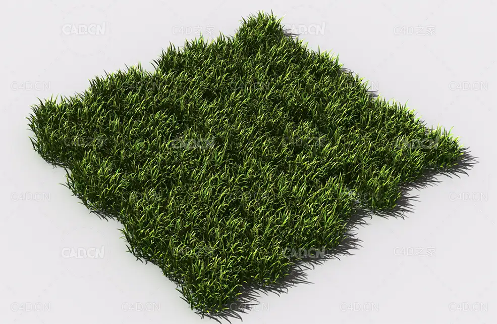 野草植物C4D模型 pattern_wild-grass-2 - C4D之家 - 88.jpg