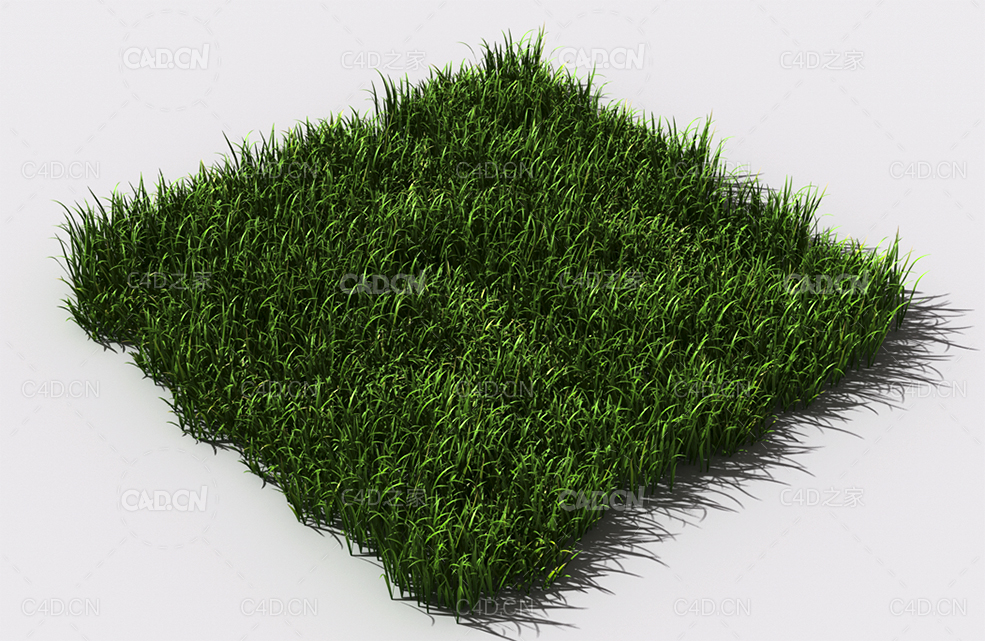 野草植物C4D模型 pattern_wild-grass-3 - C4D之家 - 89.jpg