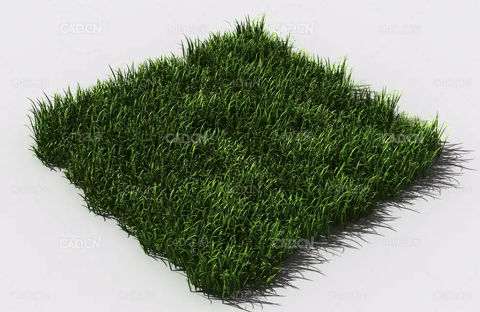 野草植物C4D模型 pattern_wild-grass-3 - C4D之家 - 89.jpg