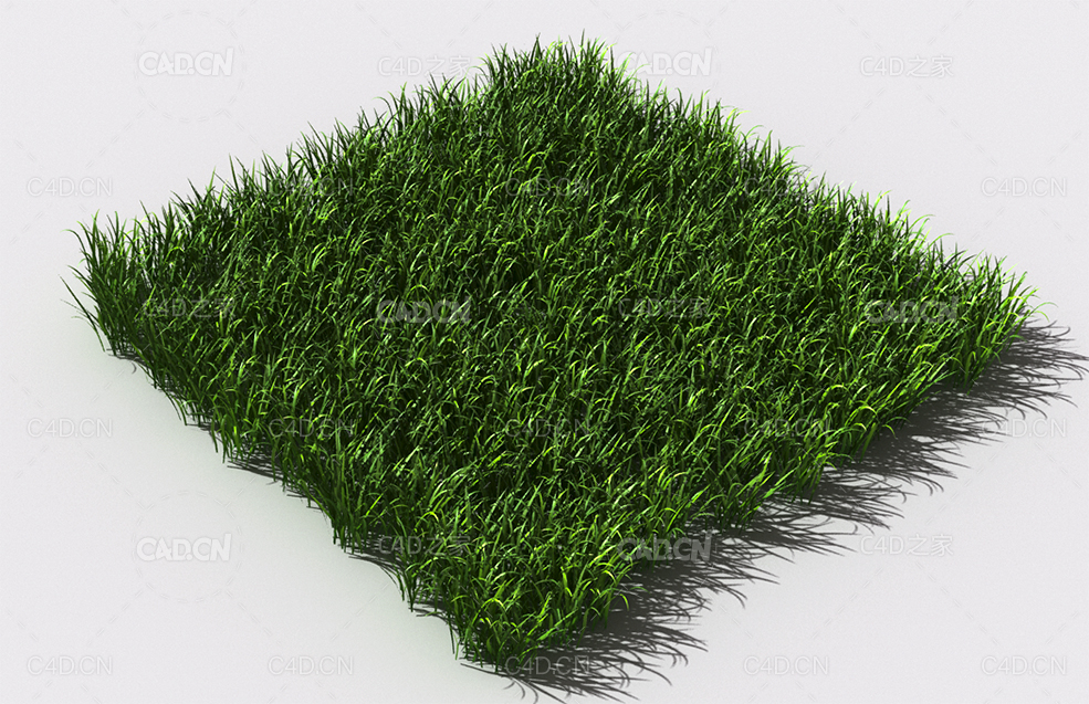 野草植物C4D模型 pattern_wild-grass-4 - C4D之家 - 90.jpg