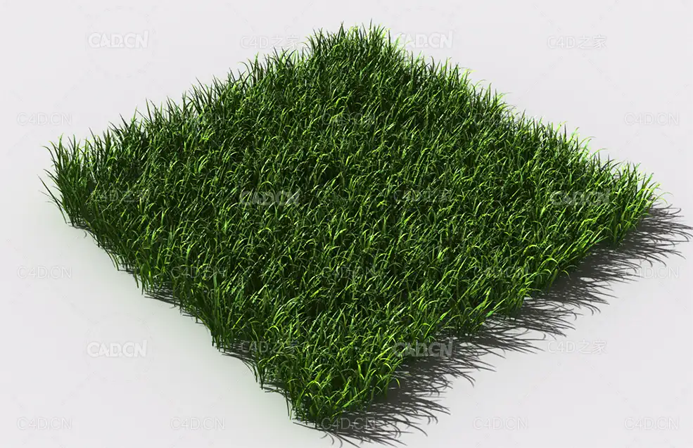 野草植物C4D模型 pattern_wild-grass-4 - C4D之家 - 90.jpg