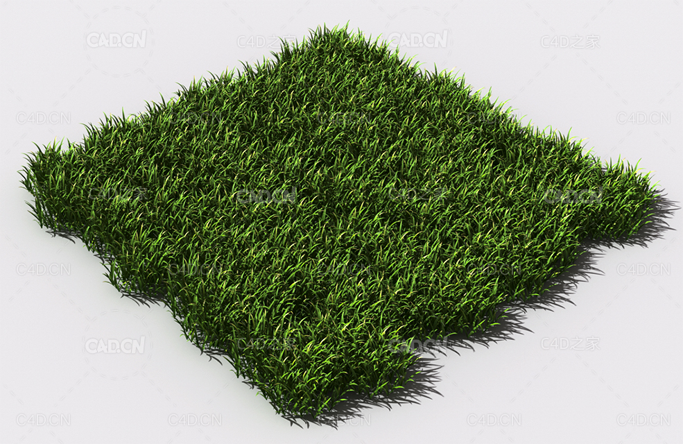 野草植物C4D模型 pattern_wild-grass-1 - C4D之家 - 87.jpg
