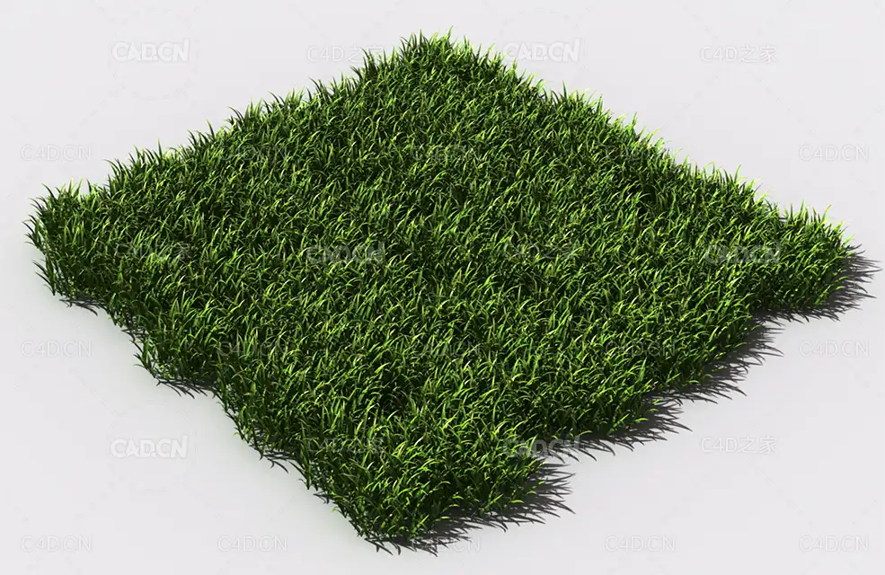 野草植物C4D模型 pattern_wild-grass-1 - C4D之家 - 87.jpg