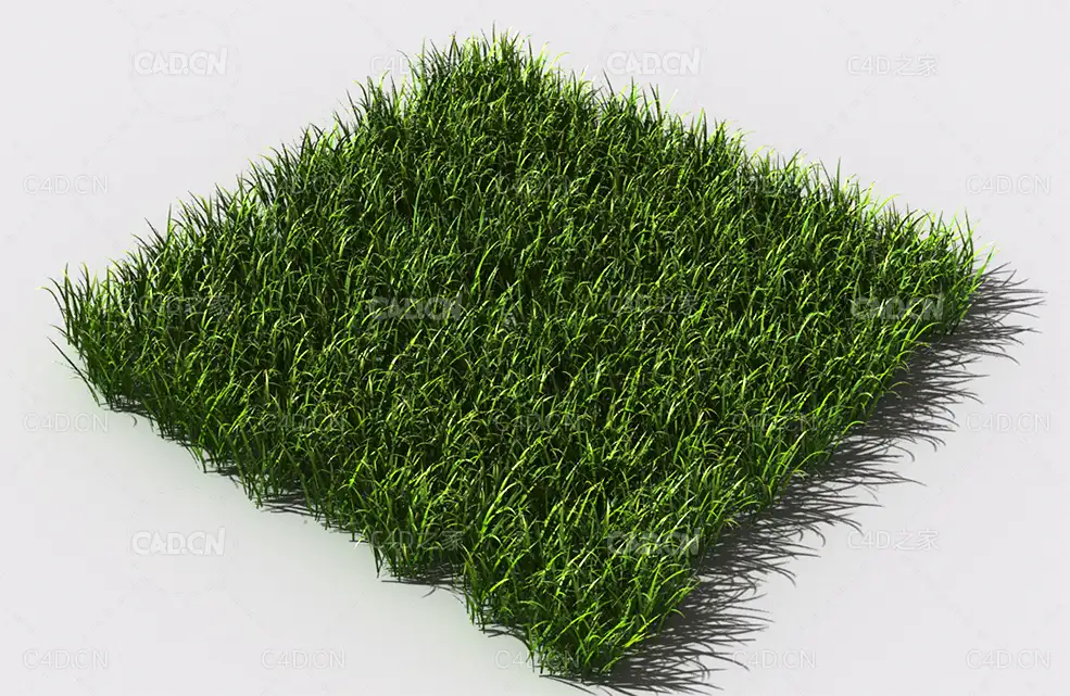 野草植物C4D模型 pattern_wild-grass-5 - C4D之家 - 91.jpg