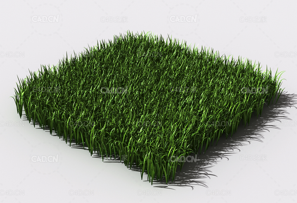 野草植物C4D模型 pattern_wild-grass-8 - C4D之家 - 94.jpg