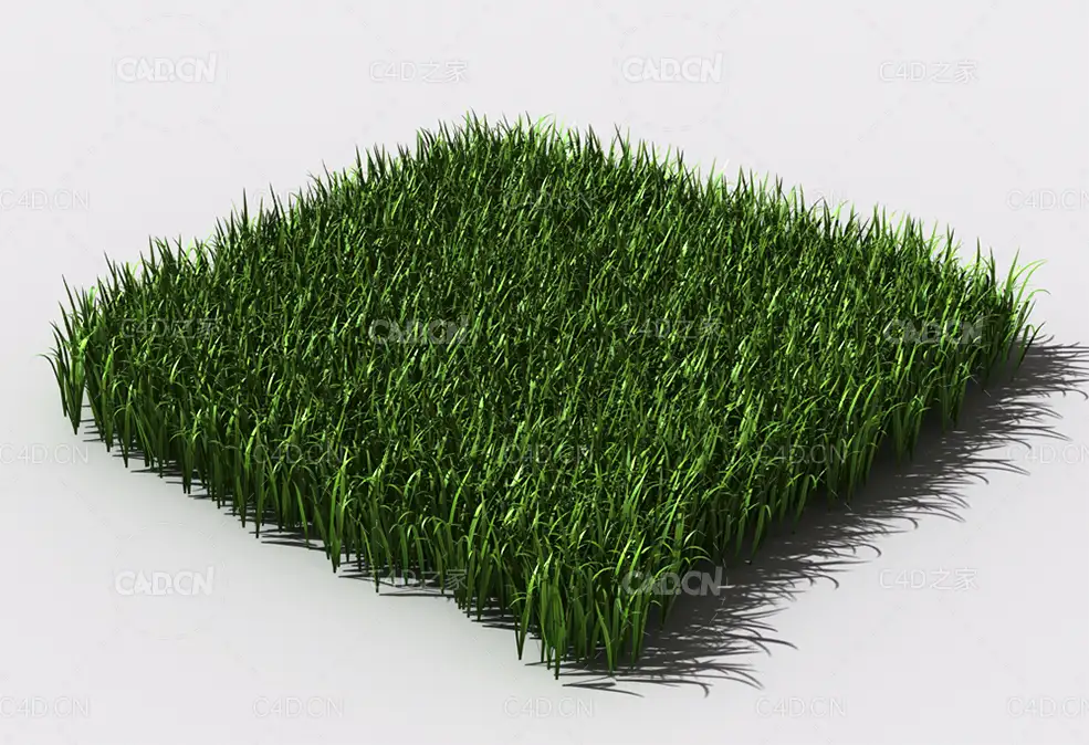 野草植物C4D模型 pattern_wild-grass-8 - C4D之家 - 94.jpg
