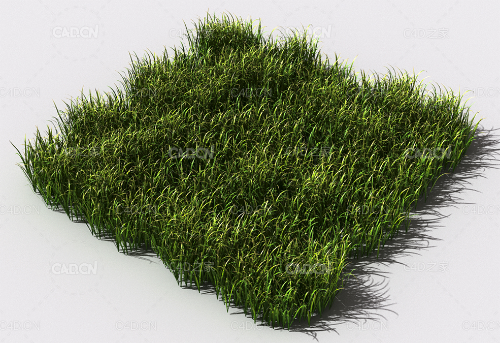 野草植物C4D模型 pattern_wild-grass-7 - C4D之家 - 93.jpg
