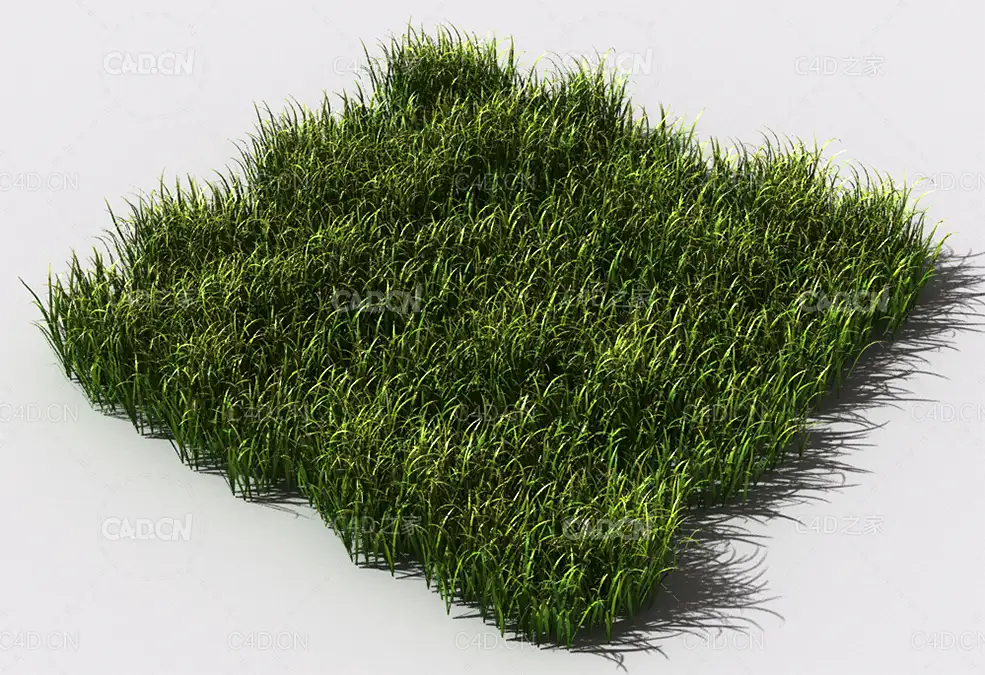 野草植物C4D模型 pattern_wild-grass-7 - C4D之家 - 93.jpg