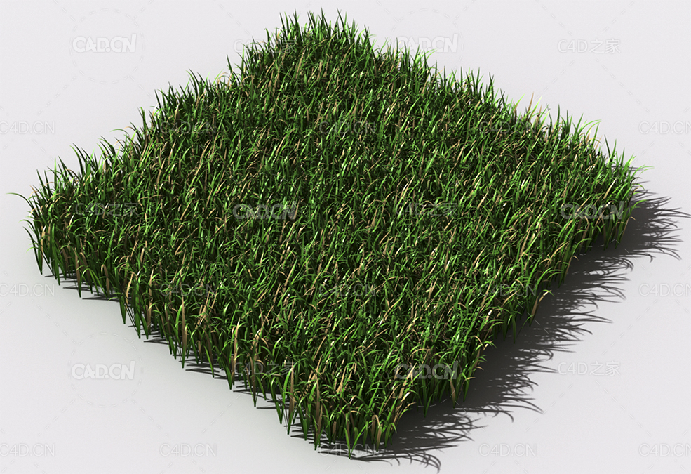野草植物C4D模型 pattern_wild-grass-9 - C4D之家 - 95.jpg
