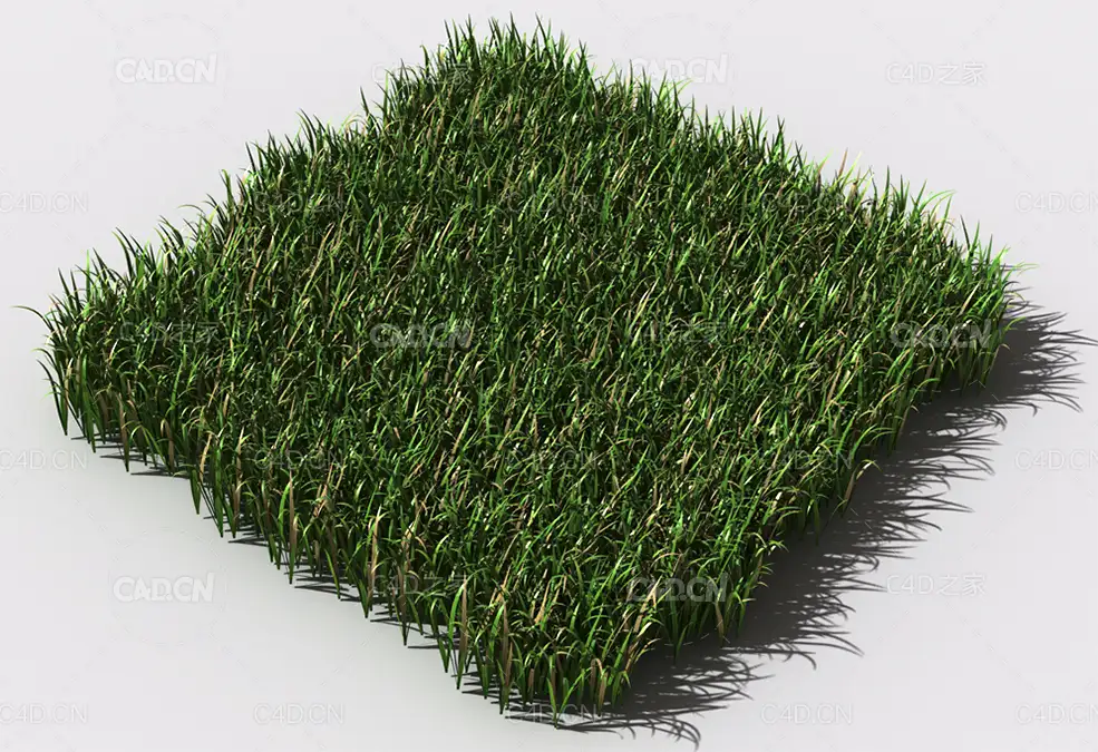 野草植物C4D模型 pattern_wild-grass-9 - C4D之家 - 95.jpg