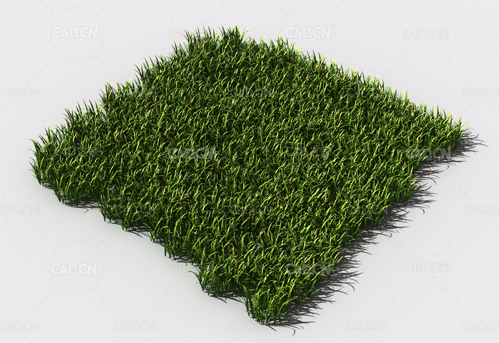 野草植物C4D模型 pattern_wild-grass-10 - C4D之家 - 96.jpg