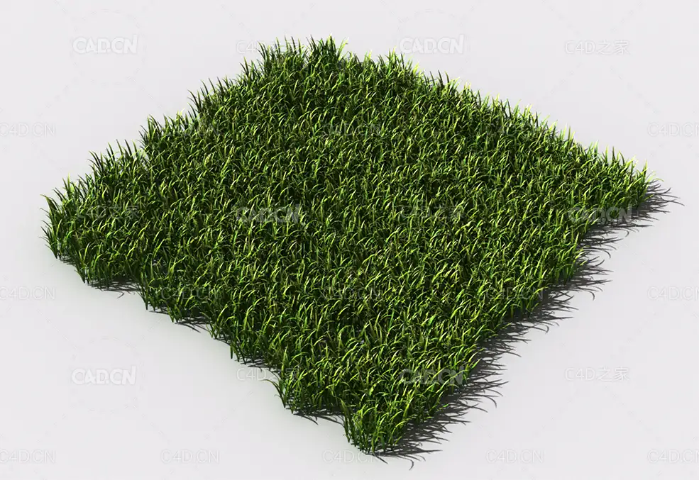 野草植物C4D模型 pattern_wild-grass-10 - C4D之家 - 96.jpg