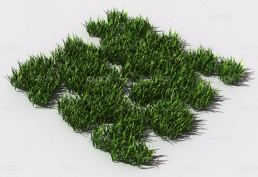 野草植物C4D模型 pattern_wild-grass-12 - C4D之家 - 98.jpg