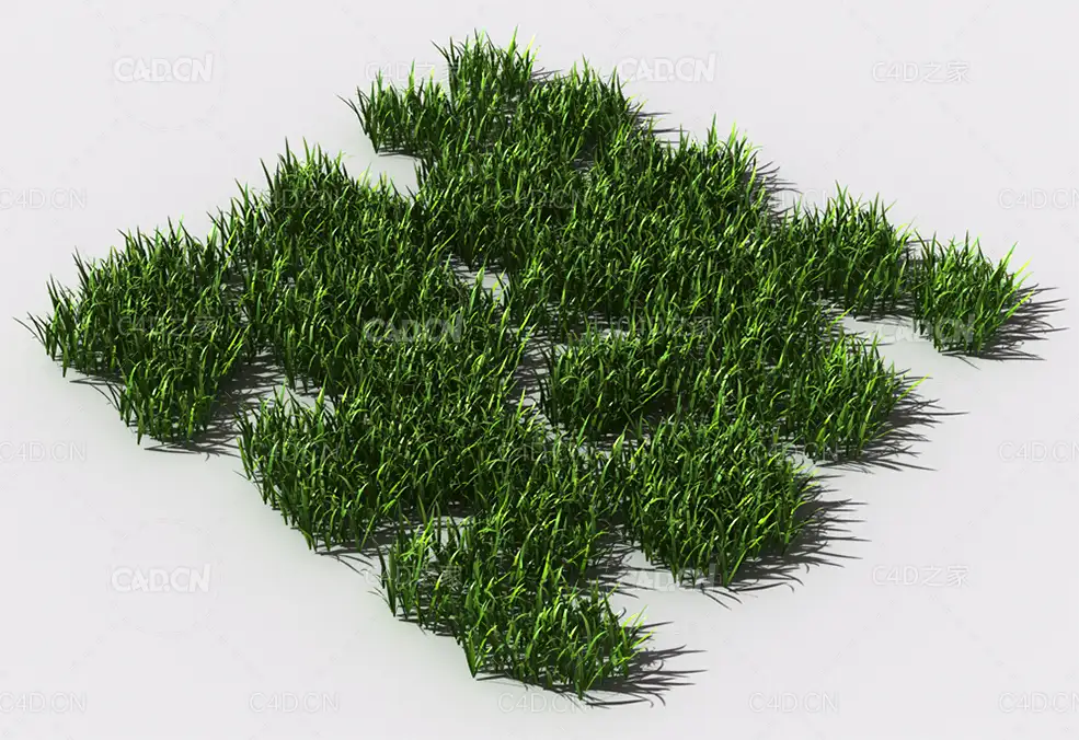 野草植物C4D模型 pattern_wild-grass-12 - C4D之家 - 98.jpg