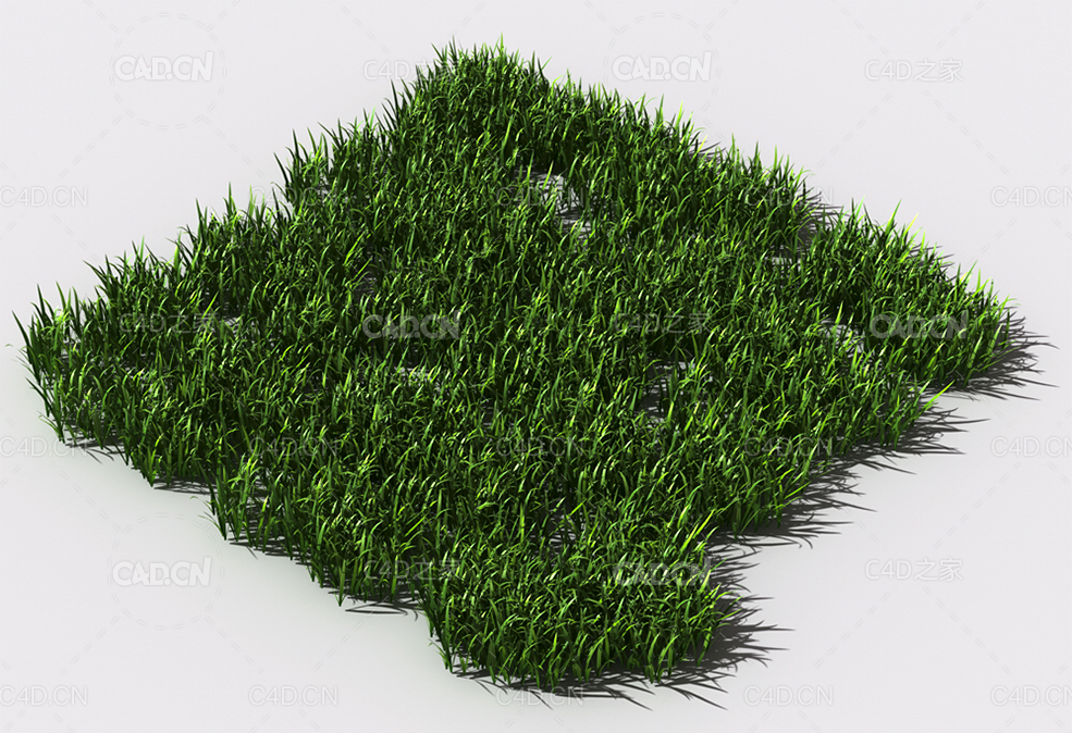 野草植物C4D模型 pattern_wild-grass-13 - C4D之家 - 99.jpg
