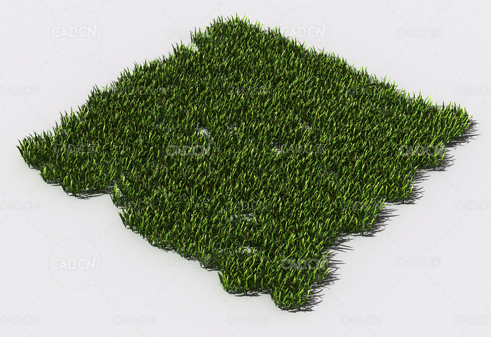 野草植物C4D模型 pattern_wild-grass-11 - C4D之家 - 97.jpg