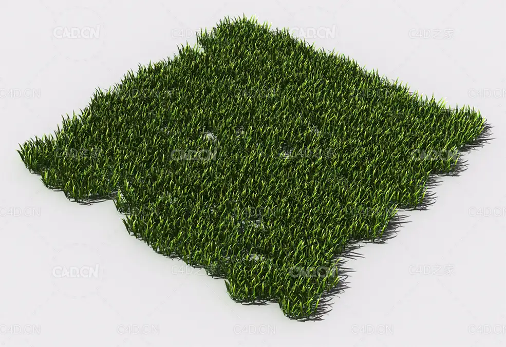 野草植物C4D模型 pattern_wild-grass-11 - C4D之家 - 97.jpg