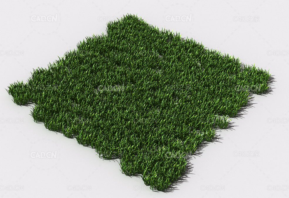 野草植物C4D模型 pattern_wild-grass-16 - C4D之家 - 102.jpg