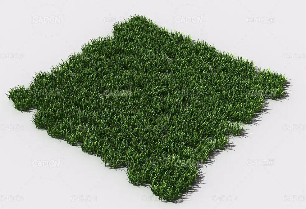 野草植物C4D模型 pattern_wild-grass-16 - C4D之家 - 102.jpg